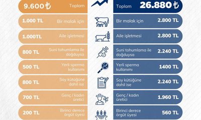 Sivas'ta Hayvansal Üretim Desteklerle Güçleniyor
