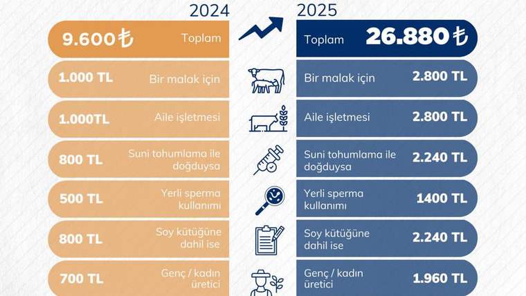 2024 ve 2025 başlıkları altında, hayvansal üretim destek tutarlarını karşılaştıran turuncu ve lacivert tablo.