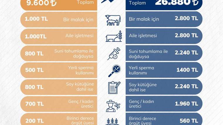 2024 ve 2025 başlıkları altında, hayvansal üretim destek tutarlarını karşılaştıran turuncu ve lacivert tablo.