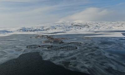 Türkiye’nin Dondurucu Merkezi: Sivas İmranlı’da Termometreler -19.4’ü Gördü