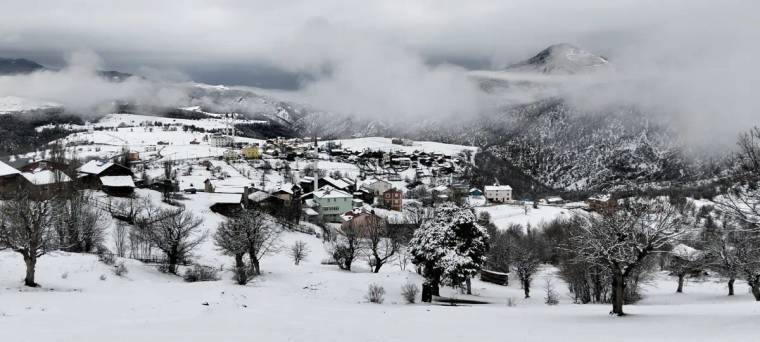Koyulhisar'da karla kaplı evler ve ağaçlar, bulutlu bir gökyüzü altında görünmekte.
