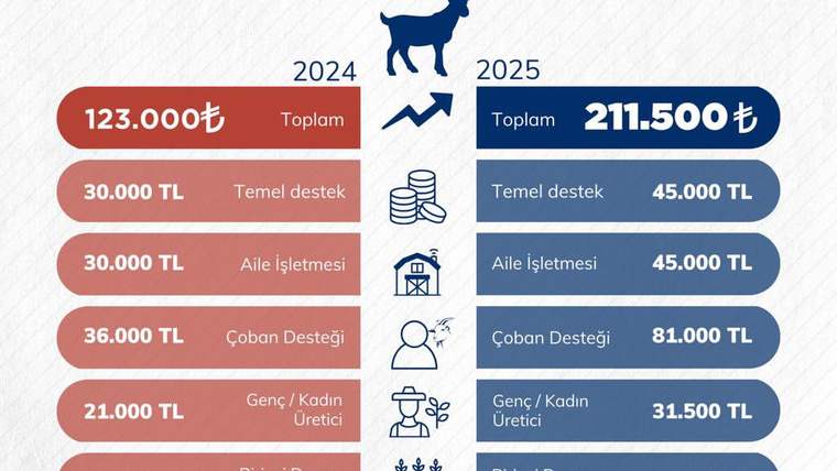 Küçükbaş hayvancılıkla ilgili destek miktarlarını gösteren bir infografik.