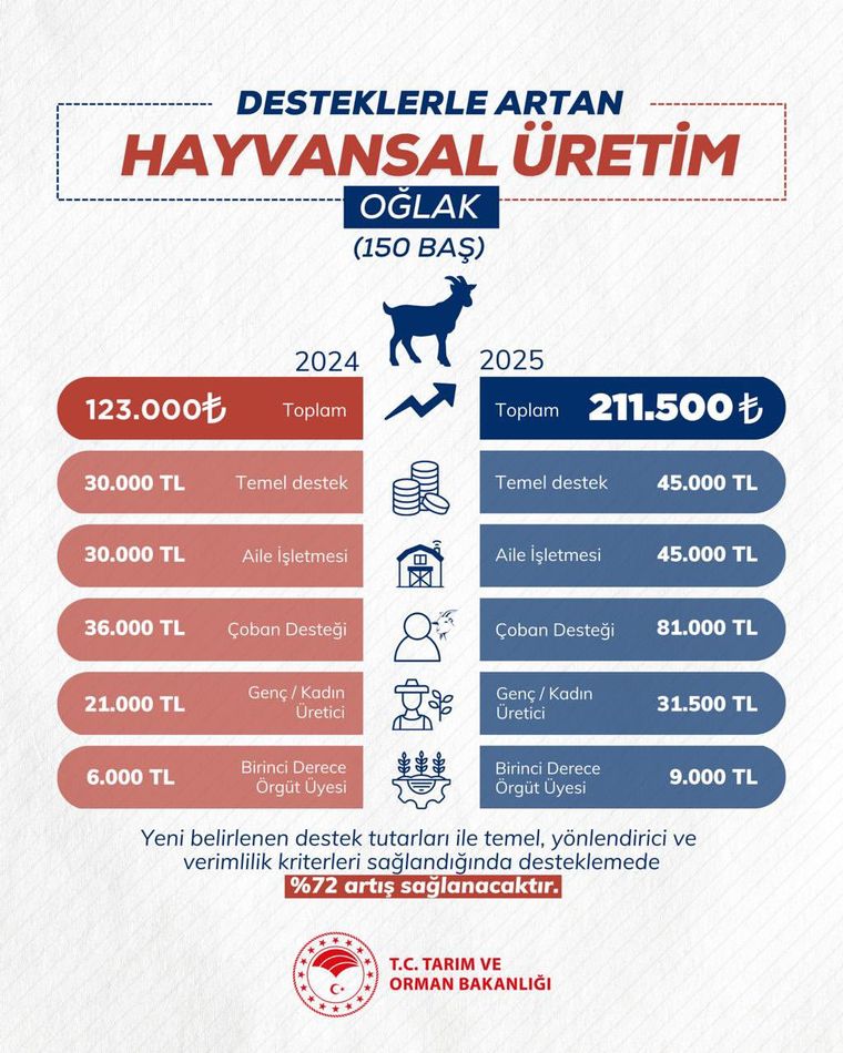 Sivas'ta Küçükbaş Hayvancılığa Destekle Yükseliş
