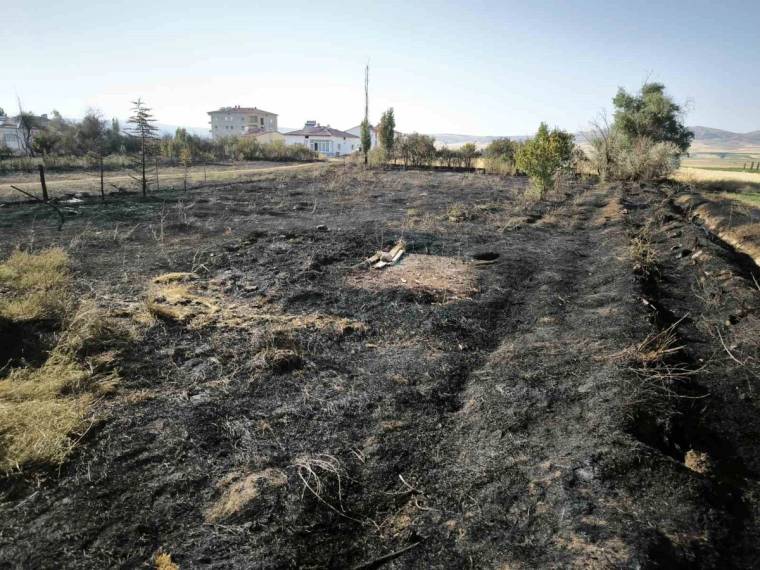 Siyahlaşmış ve yanmış bir bahçede kül kaplı toprak, arka planda evler ve ağaçlar görülüyor.