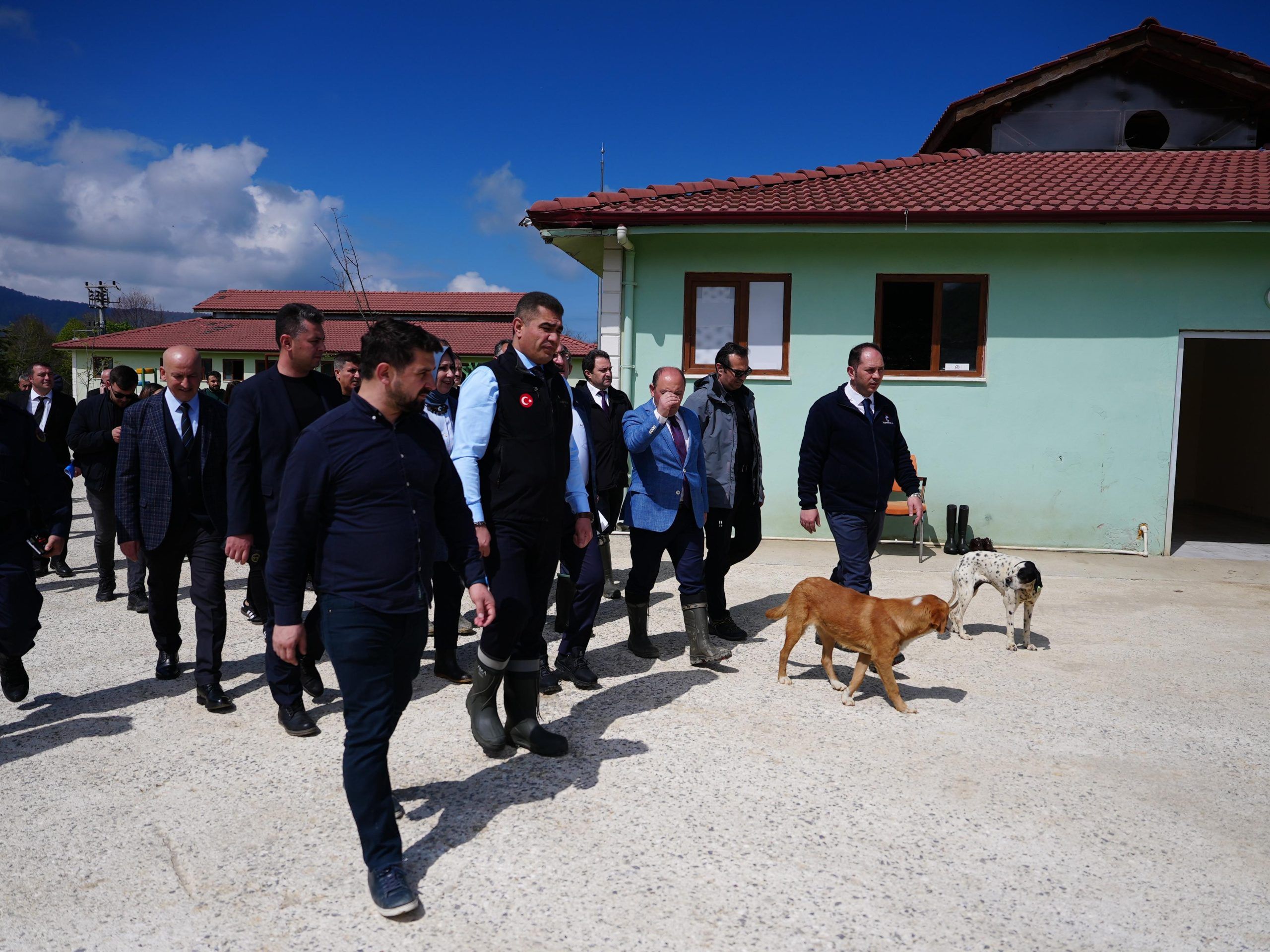 Bakan Yardımcısı Karaloğlu, Düzce’de “Hayvan Konukevi”ni inceledi - Birlik Haber Ajansı