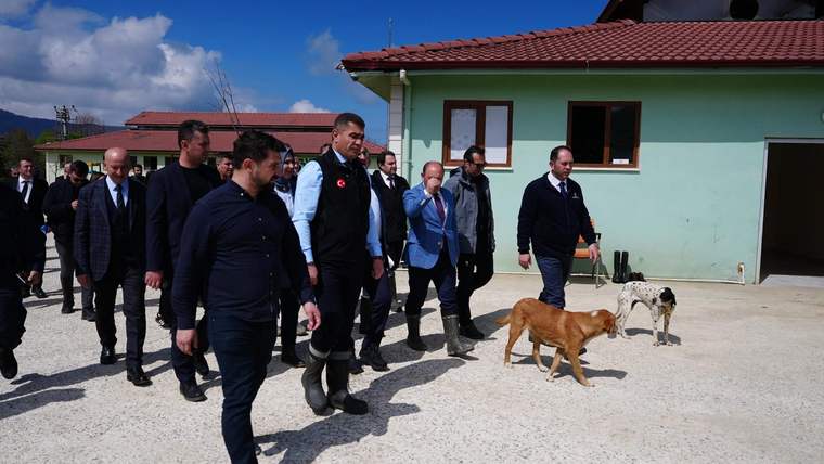Bakan Yardımcısı Karaloğlu, Düzce’de “Hayvan Konukevi”ni inceledi - Birlik Haber Ajansı