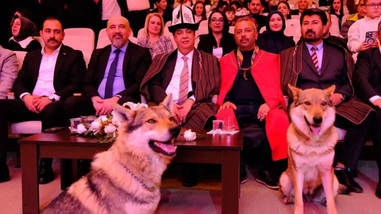 Sahne önünde oturan insanlar, iki kurt ve çiçeklerle süslenmiş bir masa var.