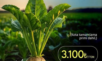 2025-2026 Üretim Yılı Şeker Pancarı Alım Fiyatı Açıklandı
