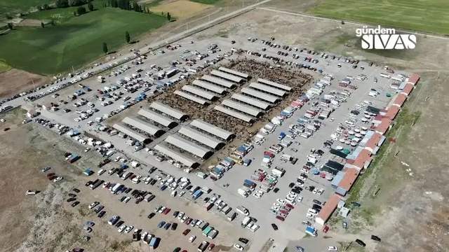 Şarkışla Hayvan Pazarı Yeniden Açılıyor