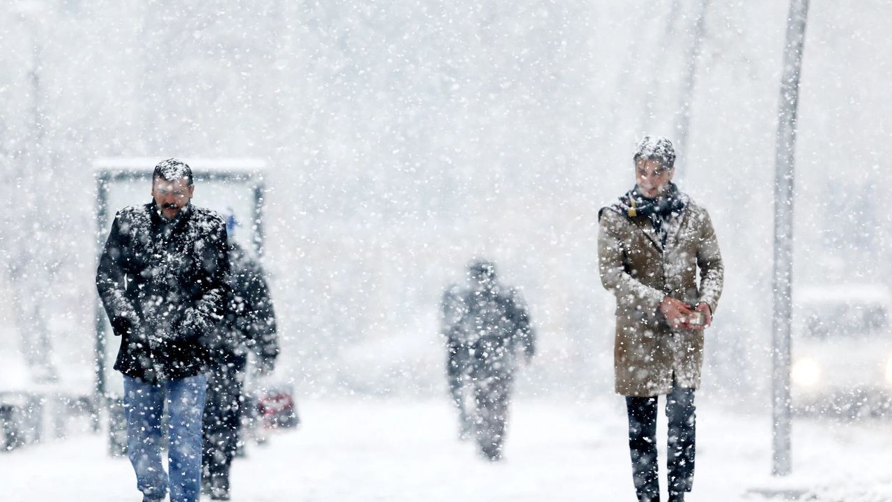 Van'da hava şartları nedeniyle uçuşlar iptal edildi - Birlik Haber Ajansı