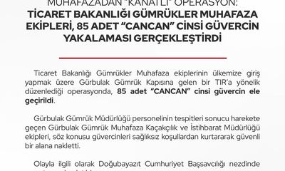 Ticaret Bakanlığı Gümrüklerinde 85 Cancan Güvercin Yakalandı / Kanatlı Operasyon