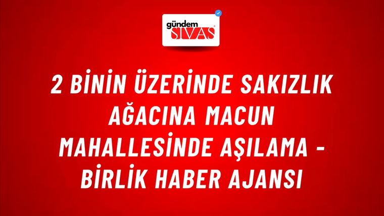 2 binin üzerinde Sakızlık ağacına Macun Mahallesinde aşılama - Birlik Haber Ajansı