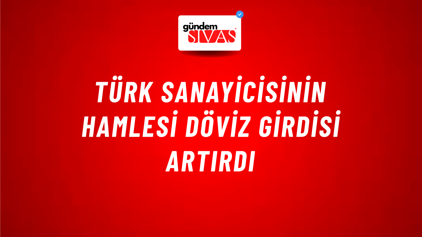 Türk sanayicisinin hamlesi döviz girdisi artırdı