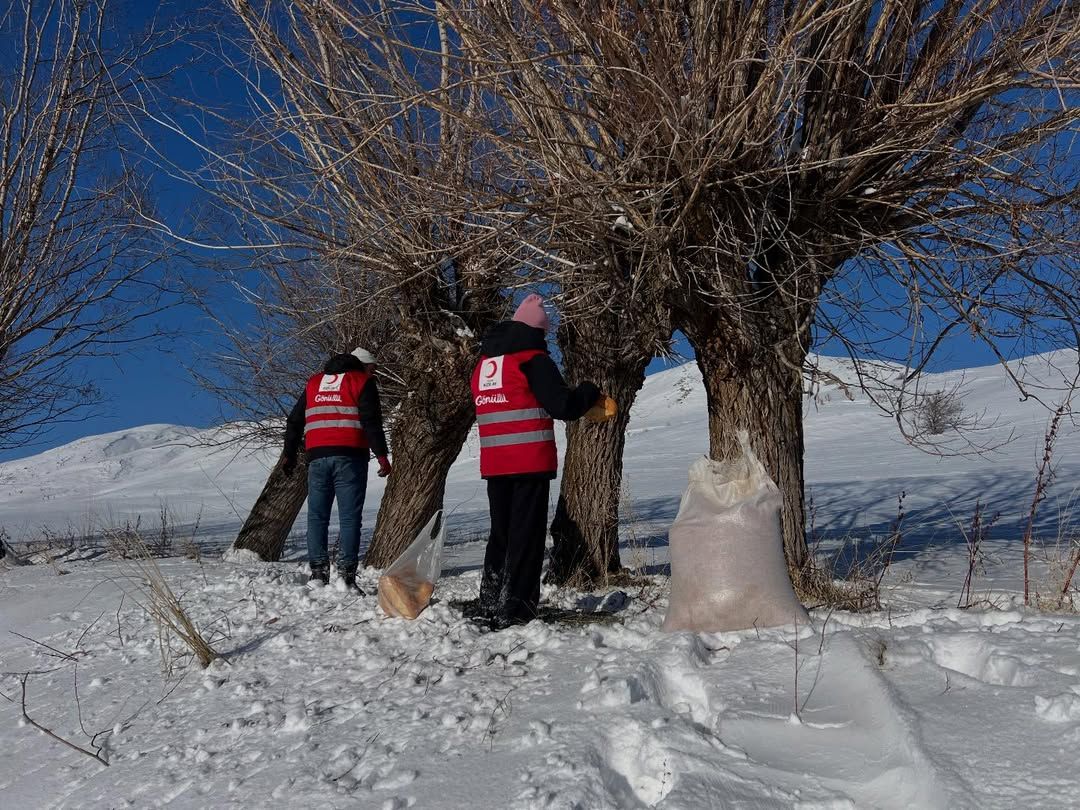Zorlu Kış Şartlarında Örnek Dayanışma: Türk Kızılay Zara Gönüllülerinden Doğadaki Canlara Anlamlı Destek