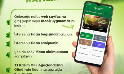 Sivas'ta 5 Adımda Ücretsiz Fidan Sahiplenme Rehberi