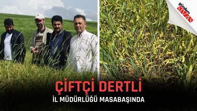 Çiftçi Dertli, Tarım İl Müdürlüğü Masabaşında