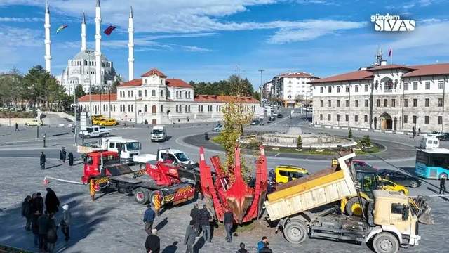 Sivas'ın Tek Ağacı Artık Yok