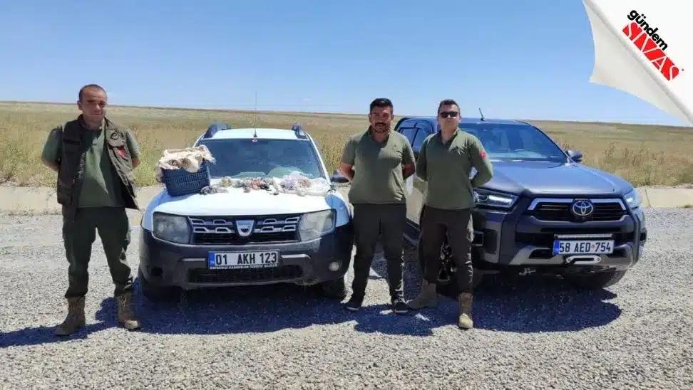 Sivas’ta Yasak Avlananlara Ceza Yağdı