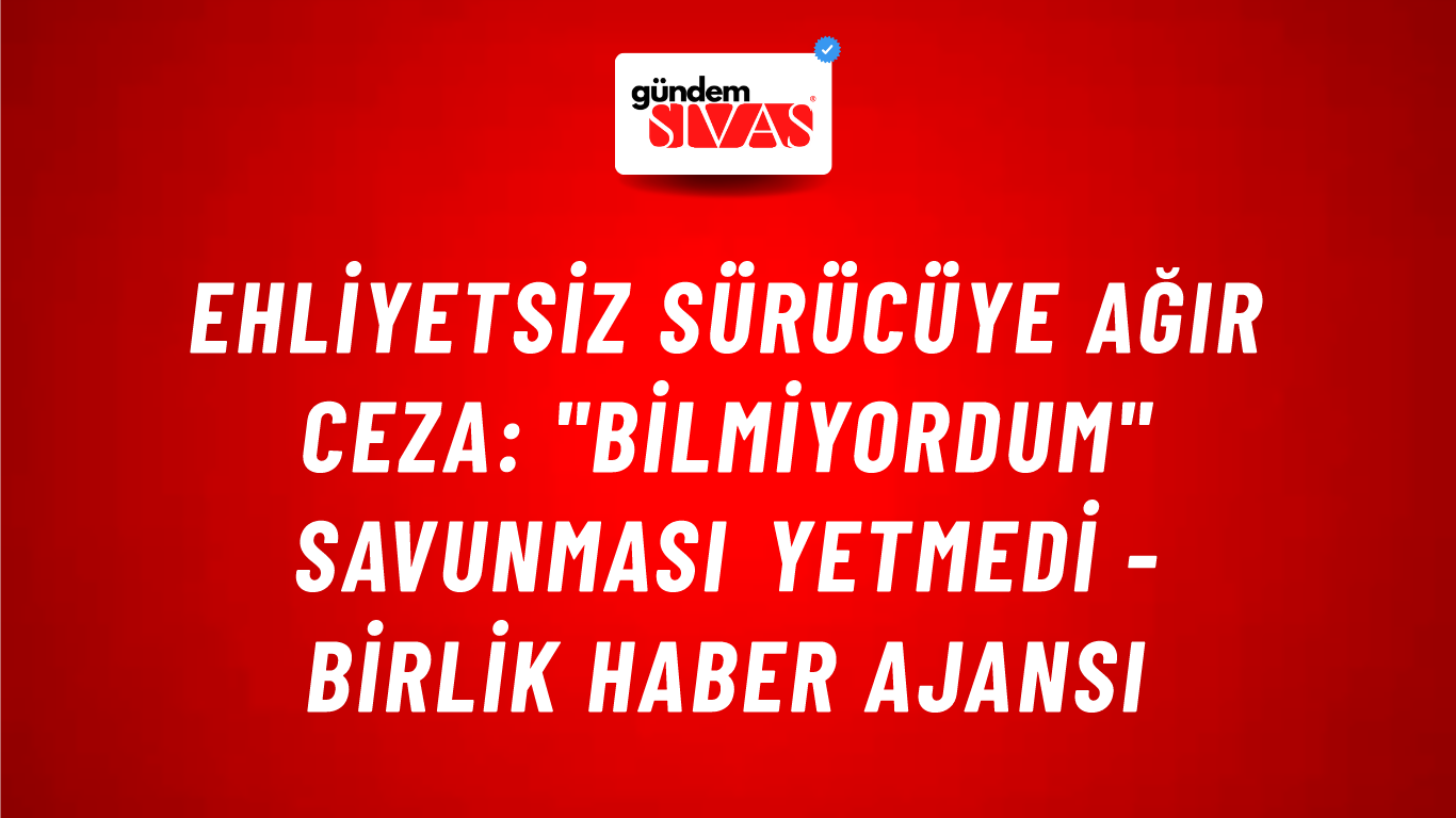 Ehliyetsiz sürücüye ağır ceza: "Bilmiyordum" savunması yetmedi - Birlik Haber Ajansı