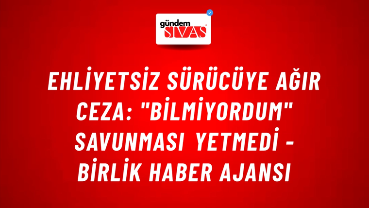 Ehliyetsiz sürücüye ağır ceza: "Bilmiyordum" savunması yetmedi - Birlik Haber Ajansı