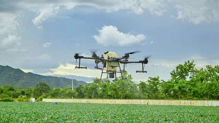 Bir tarım alanında, havada uçan bir drone, yeşil bitkilerin üzerinde süzülüyor.
