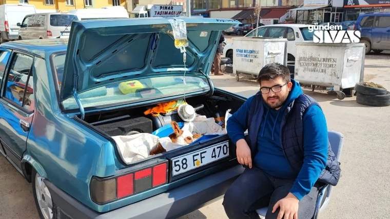Açık bagajında battaniye üzerindeki buzağı ve serum torbası bulunan mavi otomobilin yanında bir kişi çömeliyor.