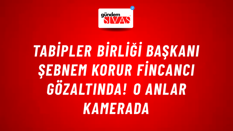 Tabipler Birliği Başkanı Şebnem Korur Fincancı gözaltında! O anlar kamerada