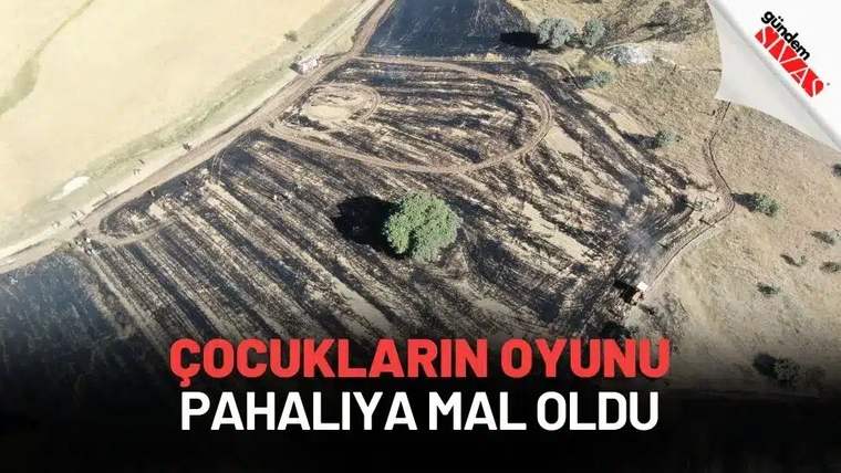 Küçük bir ağaç ile çevresindeki yanmış tarla görünümü.