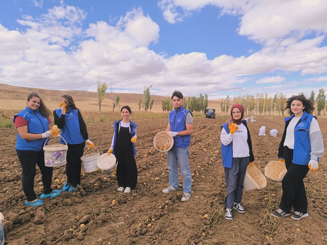 Tarlada eldiven takan altı kişi, ellerindeki sepet ve kovalarla patateslerin arasında duruyor.