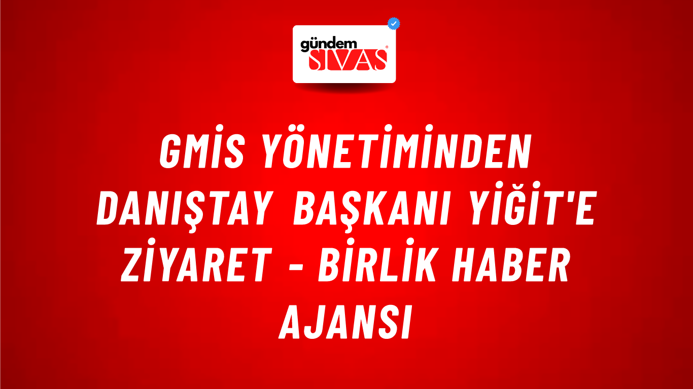 GMİS Yönetiminden Danıştay Başkanı Yiğit'e ziyaret - Birlik Haber Ajansı
