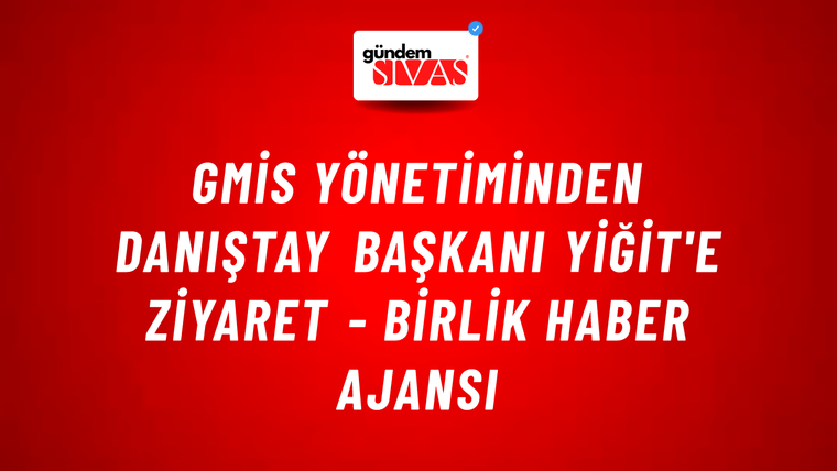GMİS Yönetiminden Danıştay Başkanı Yiğit'e ziyaret - Birlik Haber Ajansı