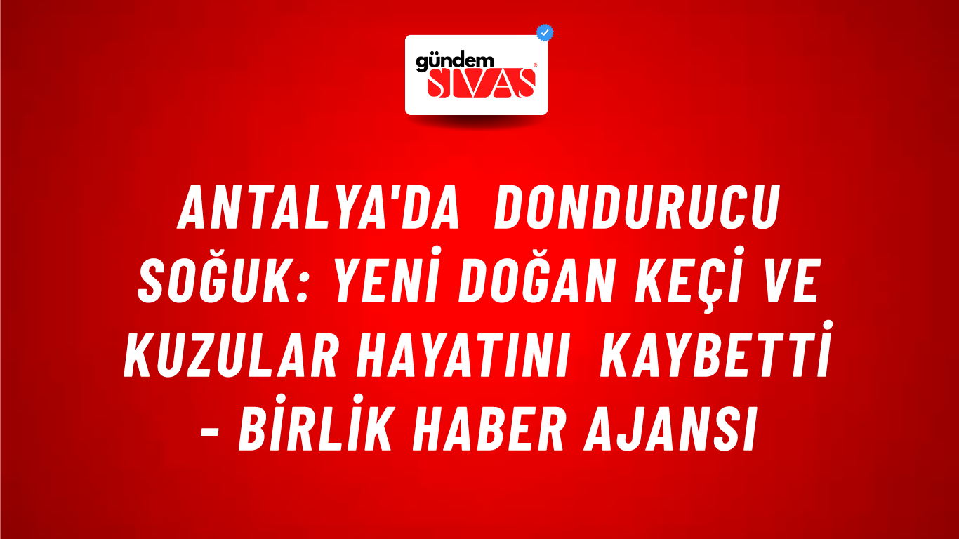 Antalya'da dondurucu soğuk: Yeni doğan keçi ve kuzular hayatını kaybetti - Birlik Haber Ajansı