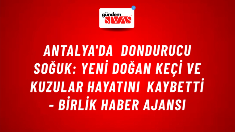 Antalya'da dondurucu soğuk: Yeni doğan keçi ve kuzular hayatını kaybetti - Birlik Haber Ajansı