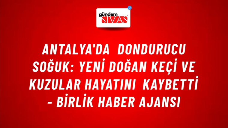 Antalya'da dondurucu soğuk: Yeni doğan keçi ve kuzular hayatını kaybetti - Birlik Haber Ajansı