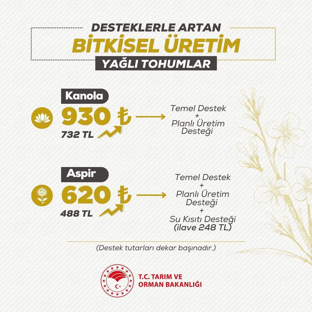 Sivas'ta Bitkisel Üretimde Desteklerle Bereket Artıyor
