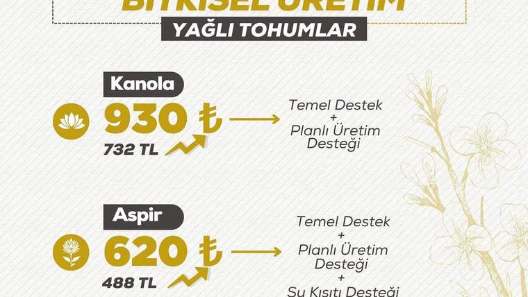 Kanola ve aspir bitkileri için destek tutarlarını gösteren bir infografik. Kanola için 930 TL, aspir için 620 TL yazıyor.