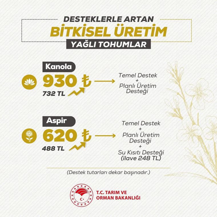 Sivas'ta Bitkisel Üretimde Desteklerle Bereket Artıyor