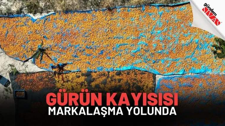 Mavi bir arka plana yerleştirilmiş, sarı kayısıların bulunduğu bir duvar resmi.