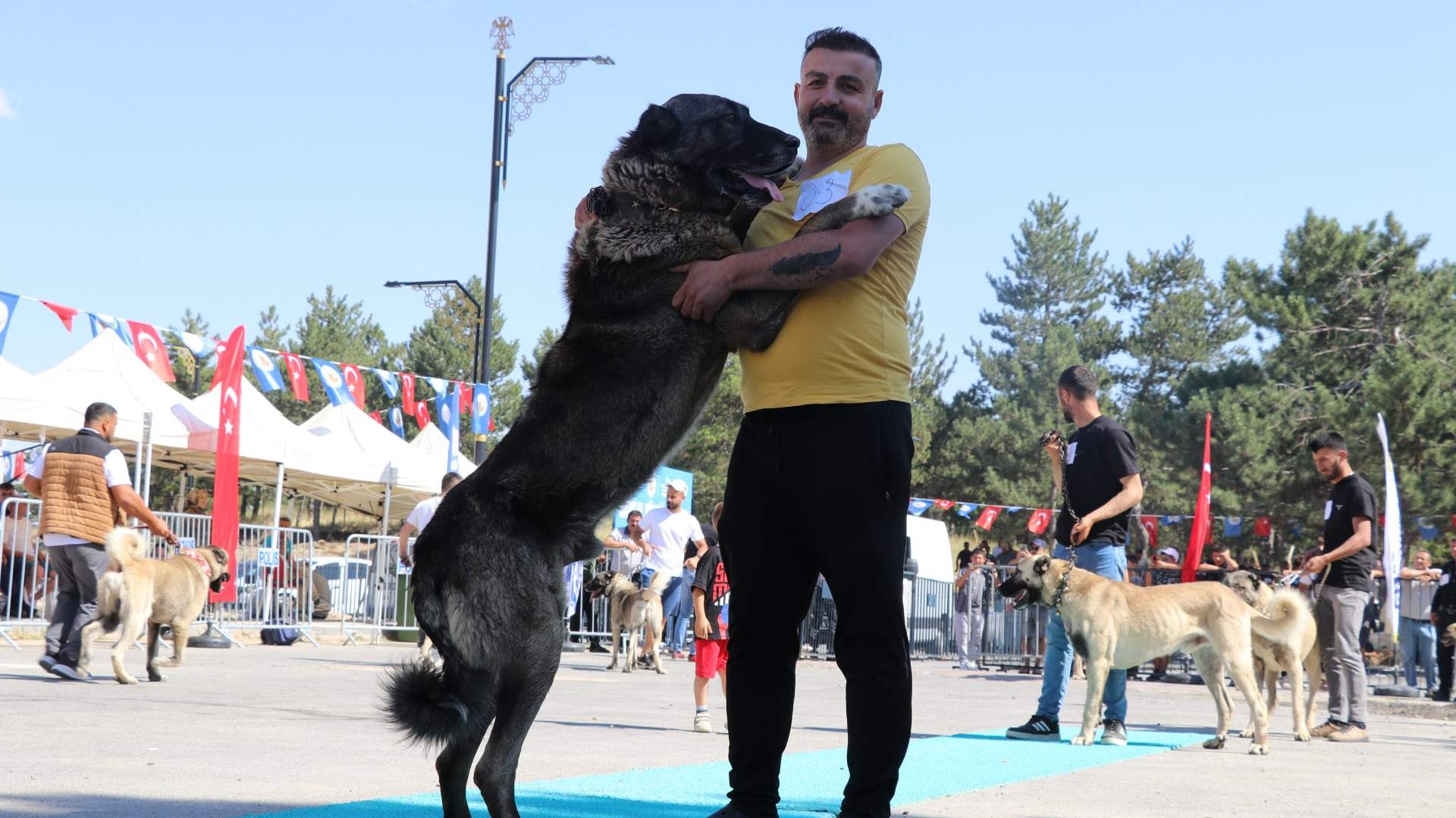 Kangal’ın Ana Vatanında Büyük Yarış!