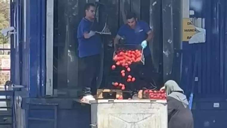 İki kişi, bir kutudan domatesleri bir konteynere döküyor.