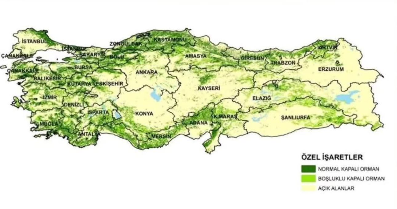 Türkiye’nin en yeşil şehri açıklandı: Antalya rekor kırdı! - Birlik Haber Ajansı
