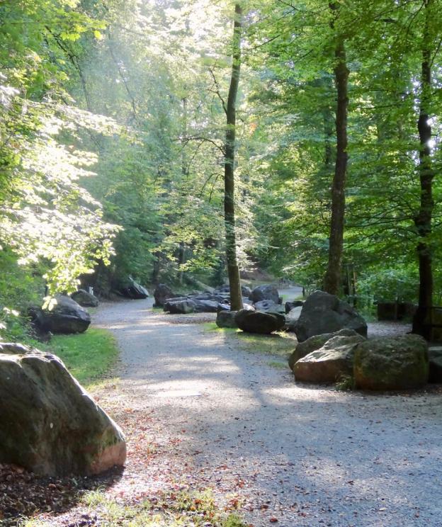 Findlinge Küsnachter Tobel