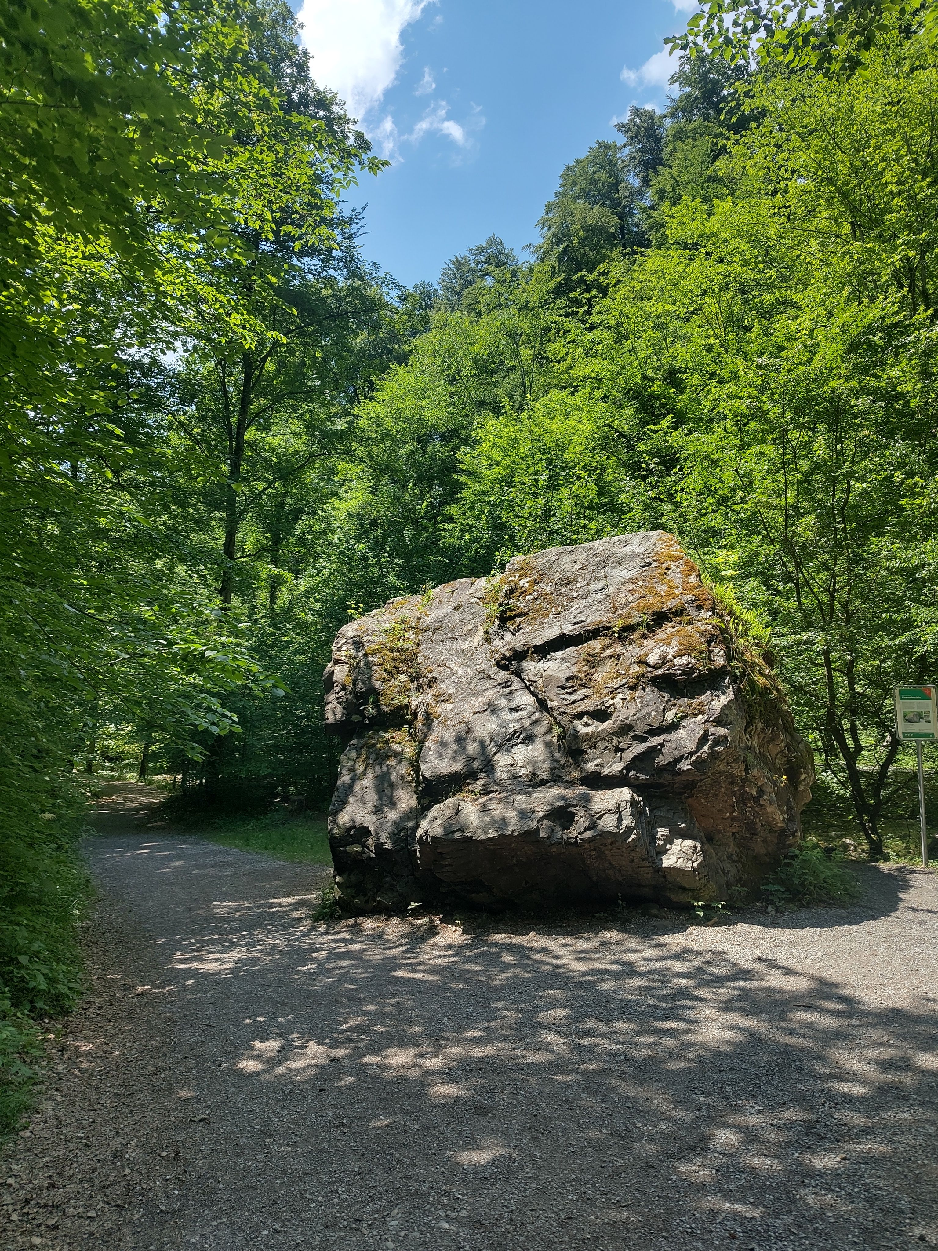alexanderstein