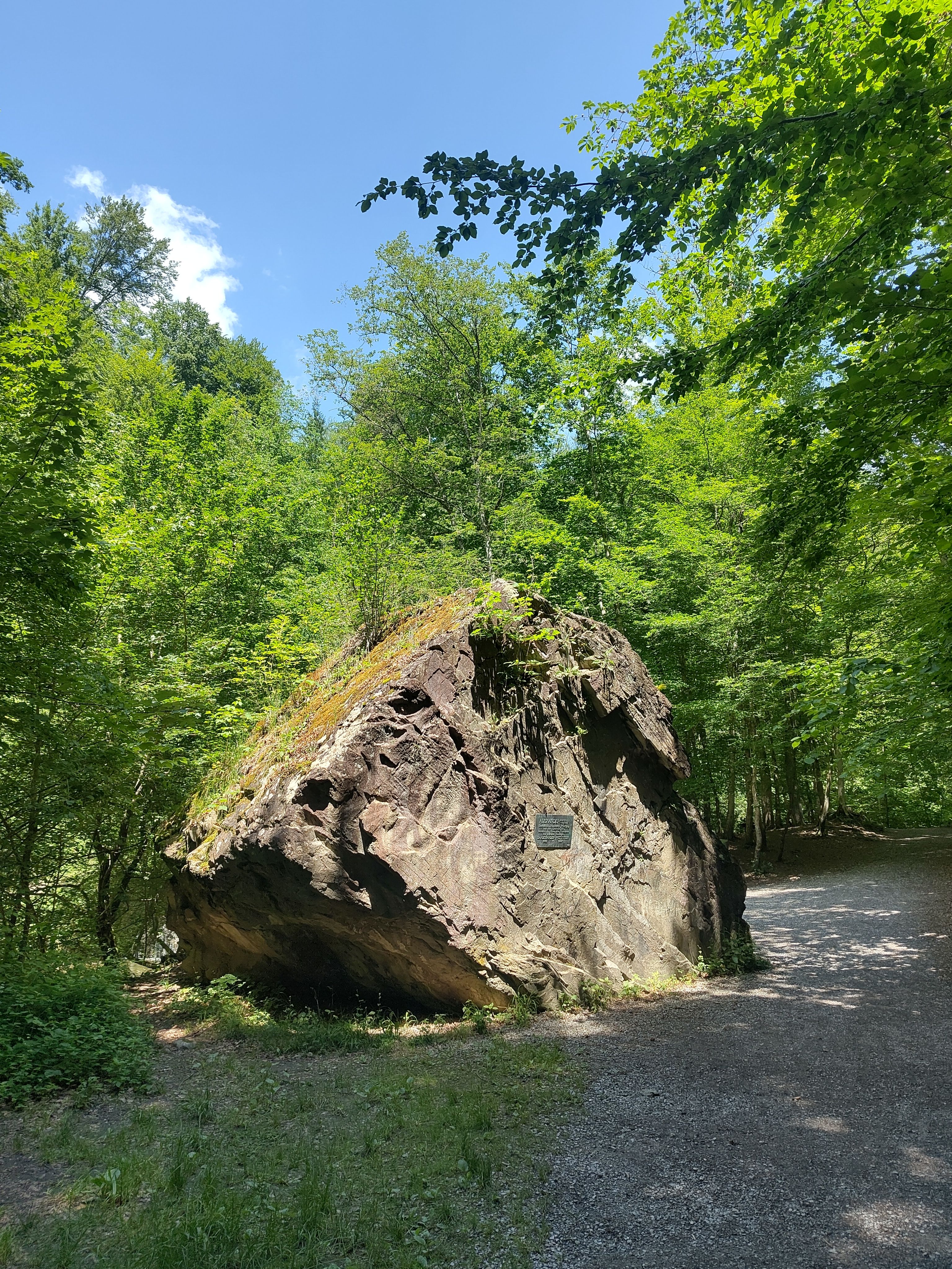 alexanderstein