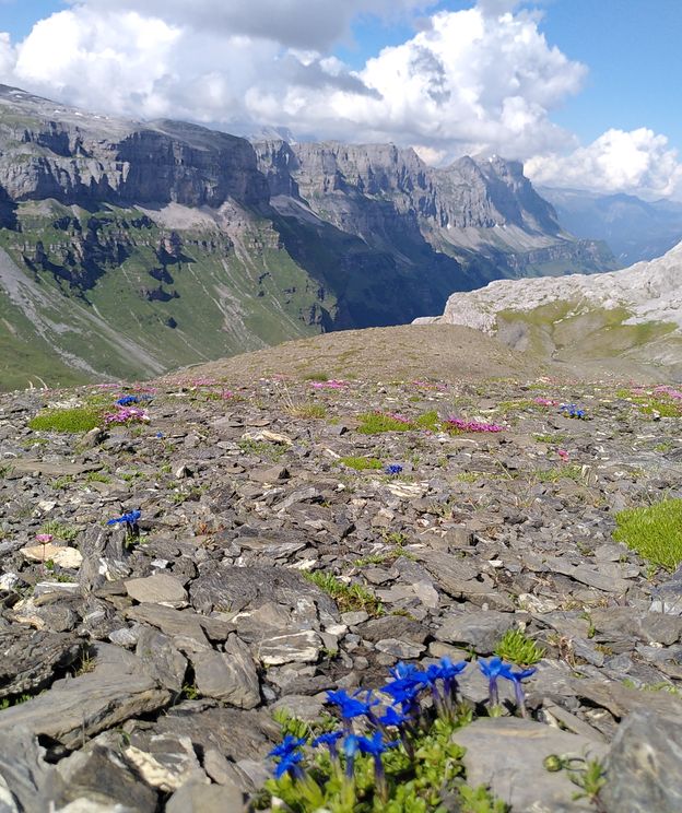 Geologische Exkursionen