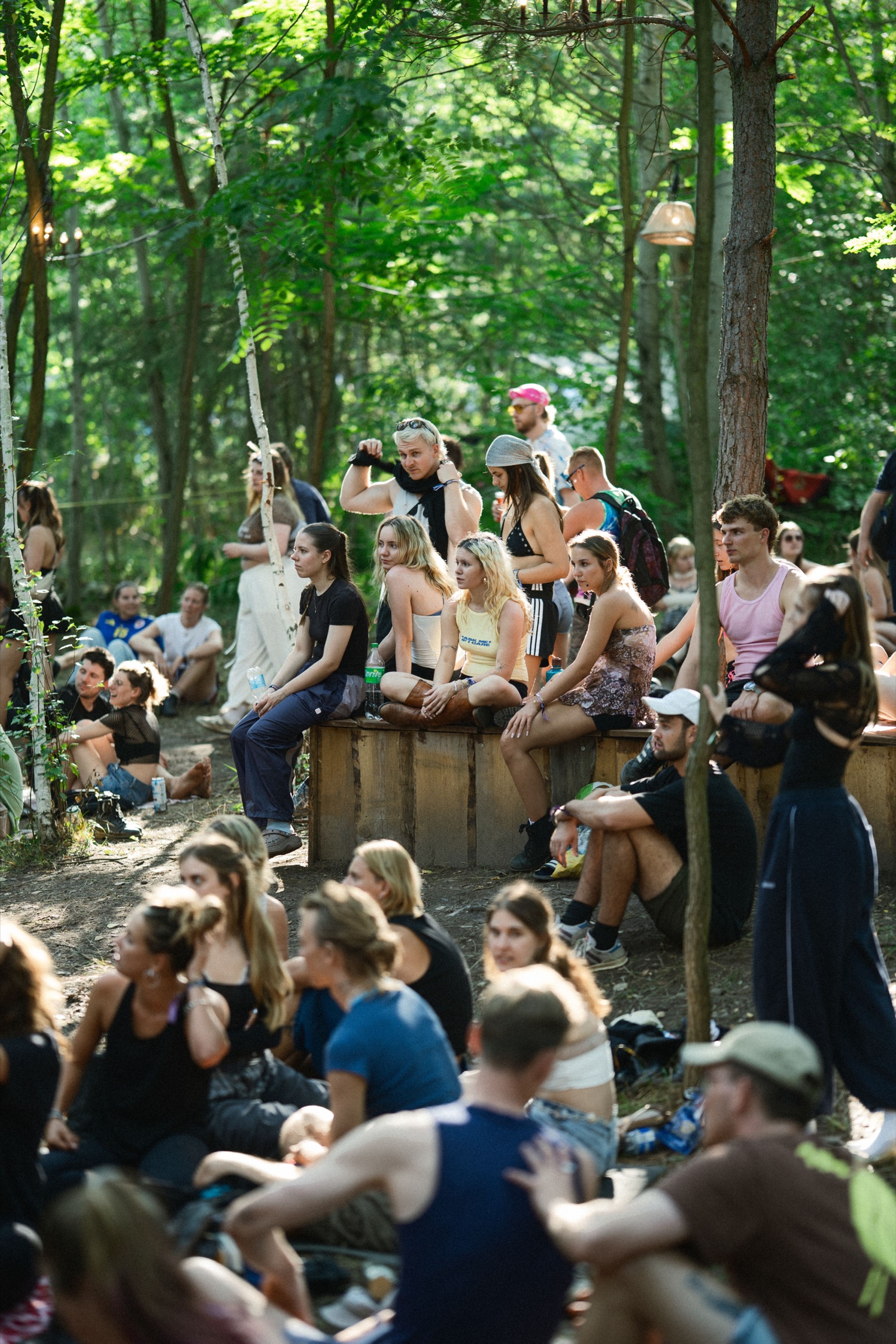 A crowd gathered in dappled forest light for a daytime set