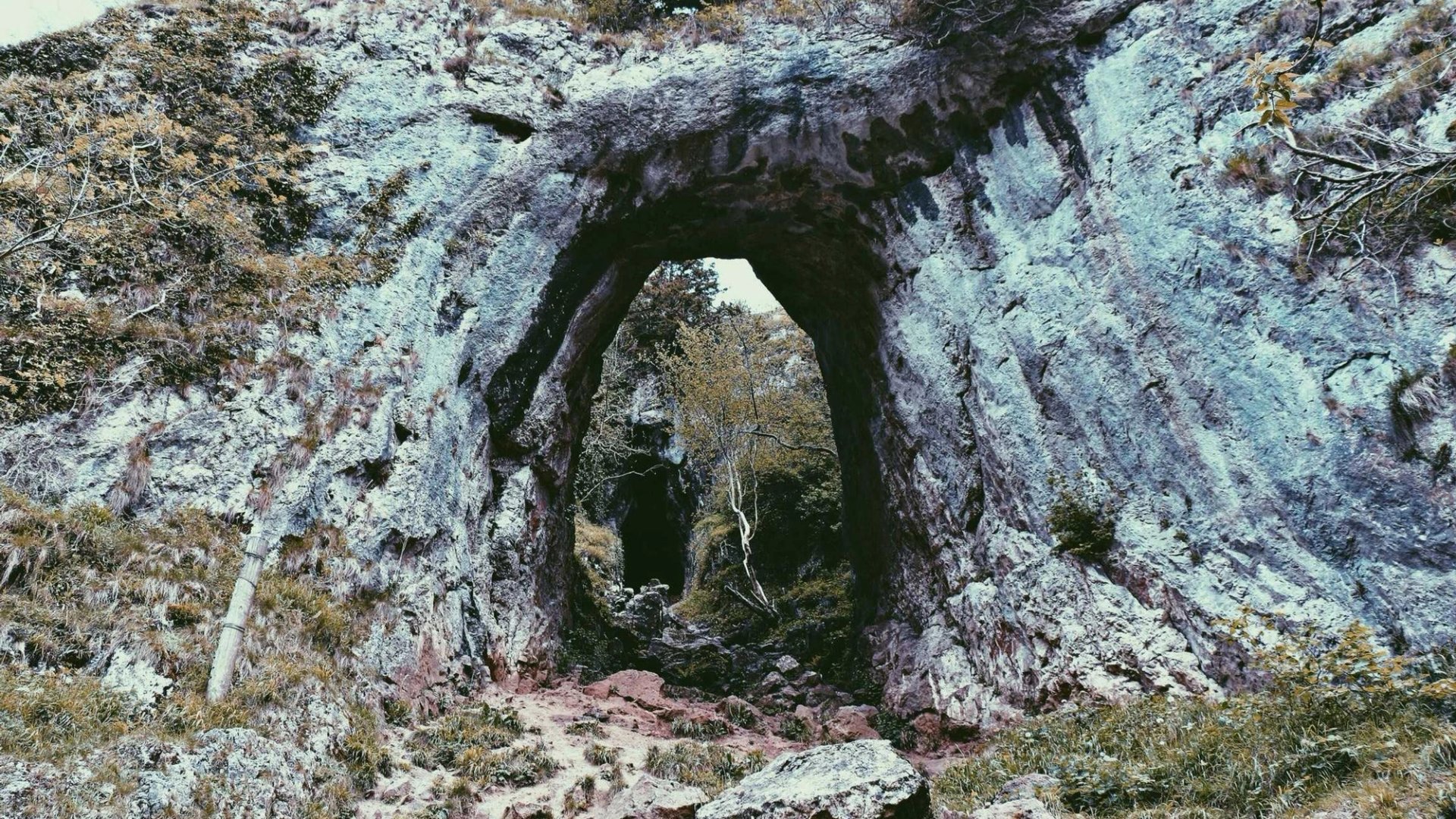 Theophany