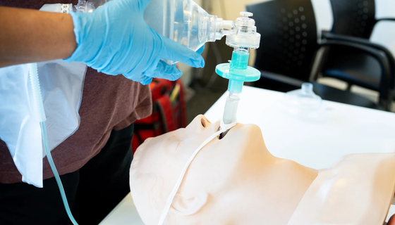 Immediate Life Support Training (eILS)