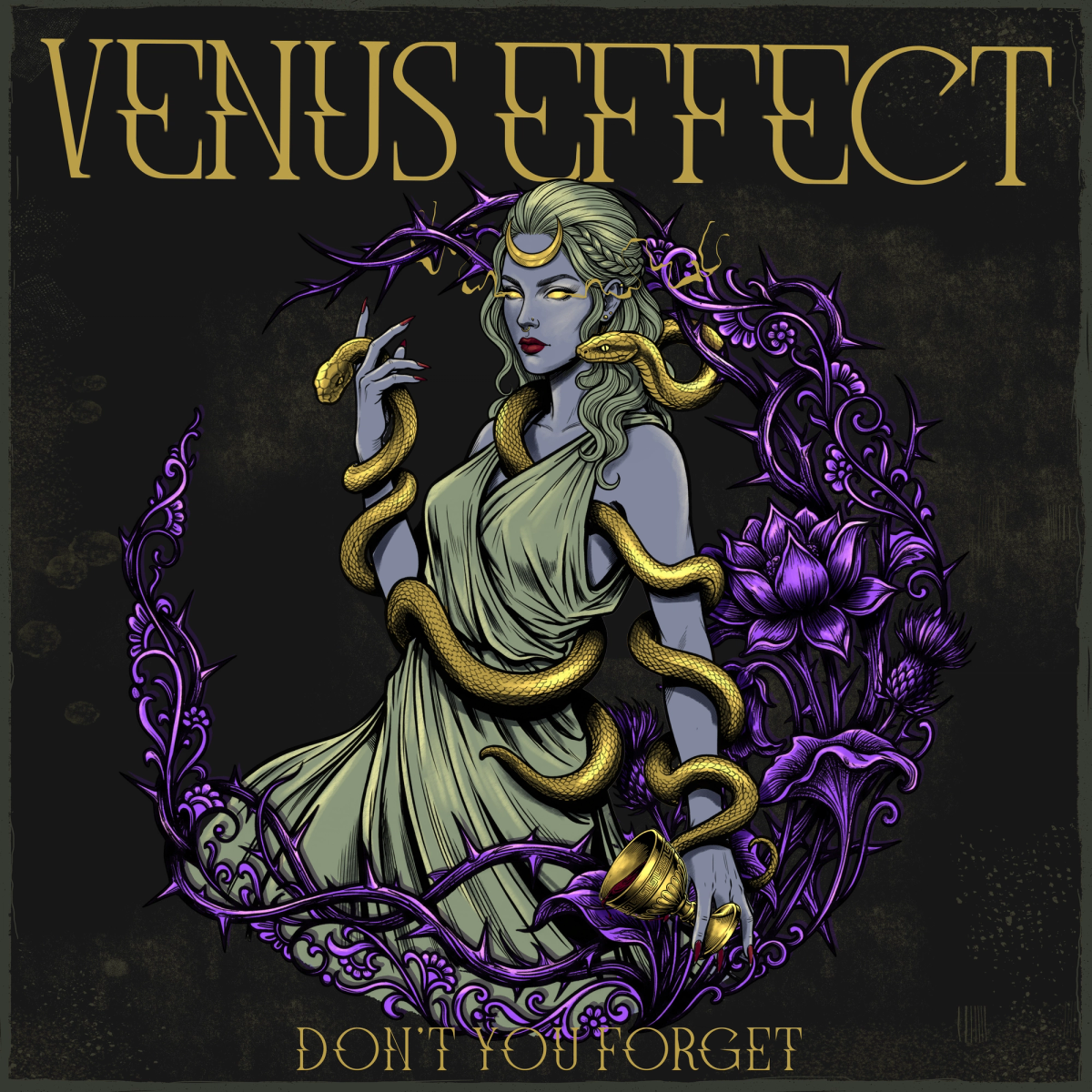 Don't You Forget album artwork