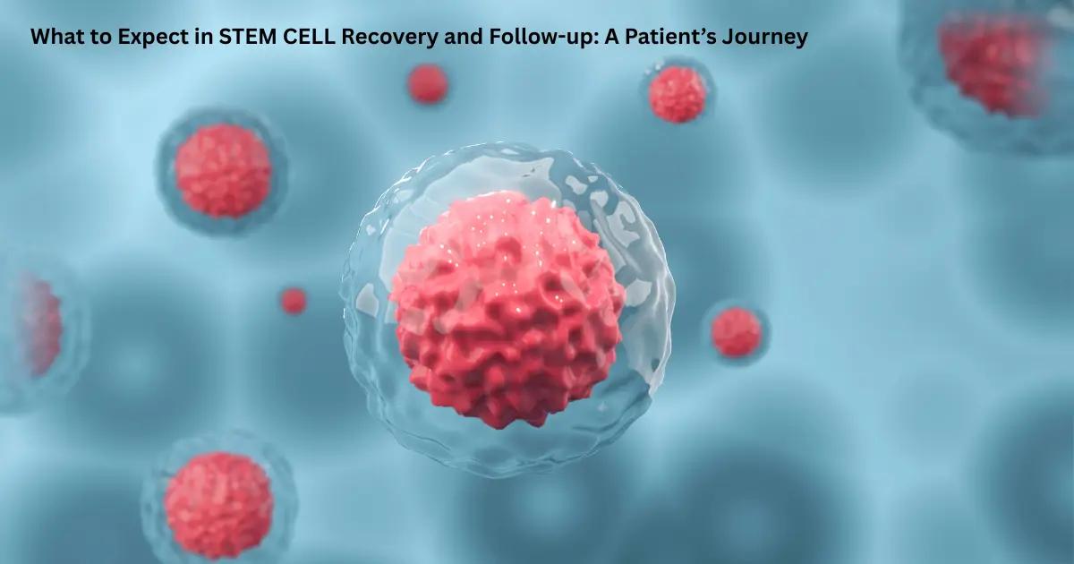 What to Expect in STEM CELL Recovery and Follow-up: A Patient’s Journey